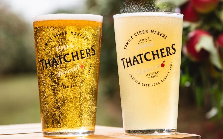 Thatchers Cider at Bath Racecourse - Cider Racenight 2024